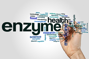 Enzymes là gì?